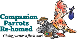 Companion Parrots Re-homed
